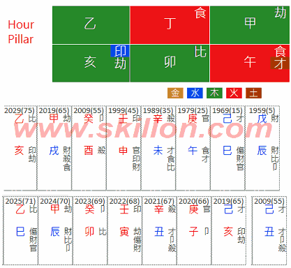 Do Won Chang Forever 21 八字 BaZi Four Pillars of Destiny Patt Chee